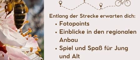 Ein Flyer zeigt eine Biene auf einer Blume mit einem Zeitplan für Samstag, den 28. März 2026, von 13:00 bis 14:30 Uhr bei Schreibers Obst- und Gemüseständen. Der Flyer hebt Fotopunkte, Einblicke in den regionalen Ausbau, Spiele und Spaß für Jung und Alt, Raststationen und eine herzliche Begrüßung hervor.