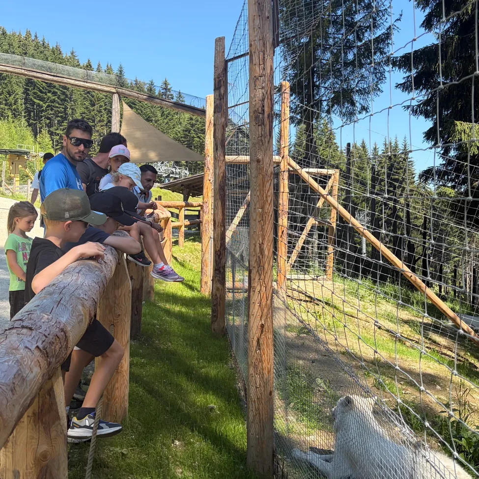 Eine Familie beobachtet einen Eisbären in einem eingezäunten Gehege mit Holzpfosten. Der Bär ruht auf dem Boden, und sie befinden sich unter einem Baldachin. Bäume und Berge sind im Hintergrund.