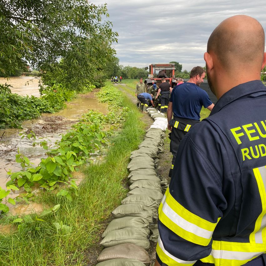 Bild enthält, Adult, Male, Man, Person