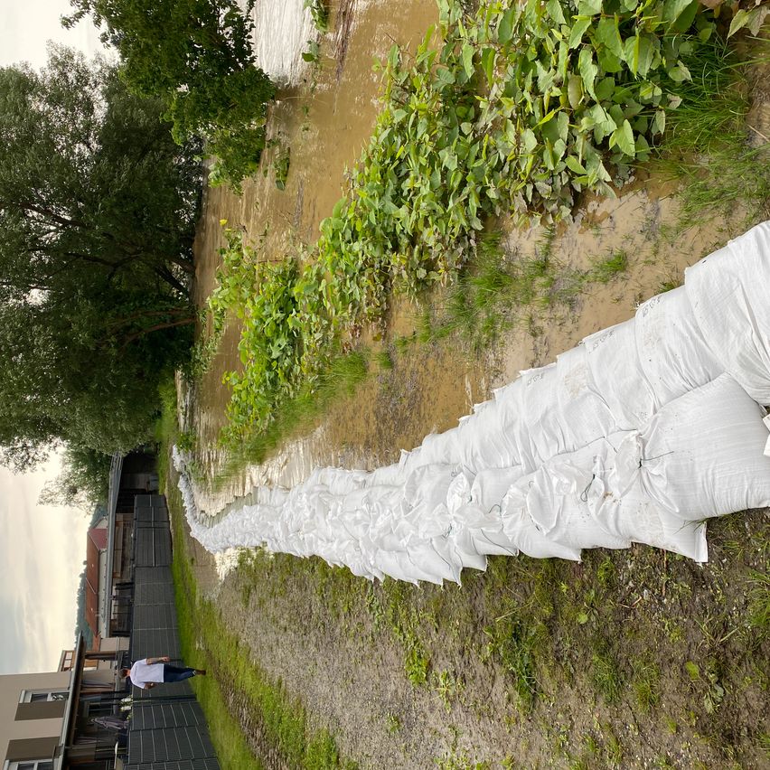 Bild enthält, Clothing, Dress, Fashion, Formal Wear, Gown, Wedding, Wedding Gown, Person, Path