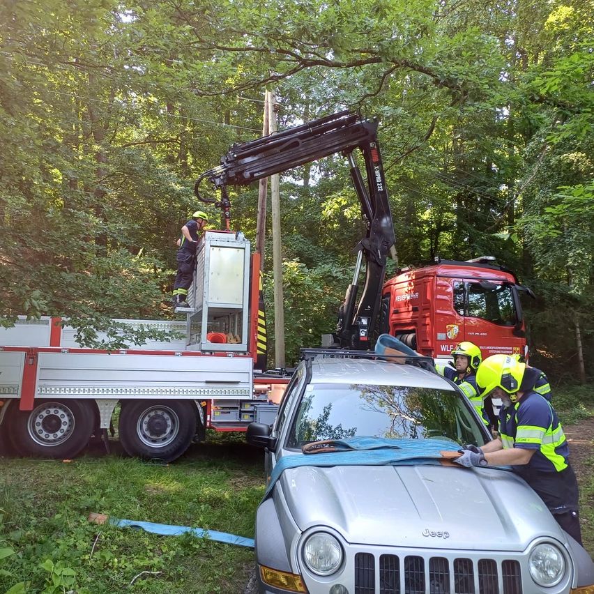 Zwei Arbeiter in Schutzkleidung verwenden einen Kran, um ein beschädigtes Fahrzeug in einem Wald zu heben. Ein roter Lastwagen steht in der Nähe.