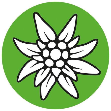 Eine stilisierte Illustration einer Edelweißblume mit Blütenblättern und Blättern auf einem grünen Kreis.