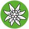 Eine stilisierte Illustration einer Edelweißblume mit Blütenblättern und Blättern auf einem grünen Kreis.