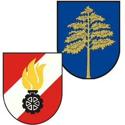 Freiwillige Feuerwehr der Stadt Fehring-Logo