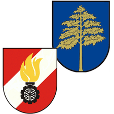 Freiwillige Feuerwehr der Stadt Fehring-Logo