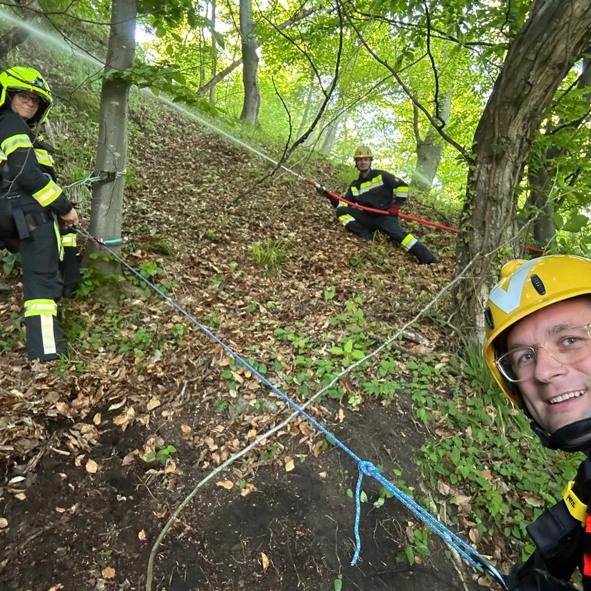 Bild enthält, Vegetation, Glove, Adult, Male, Man, Person