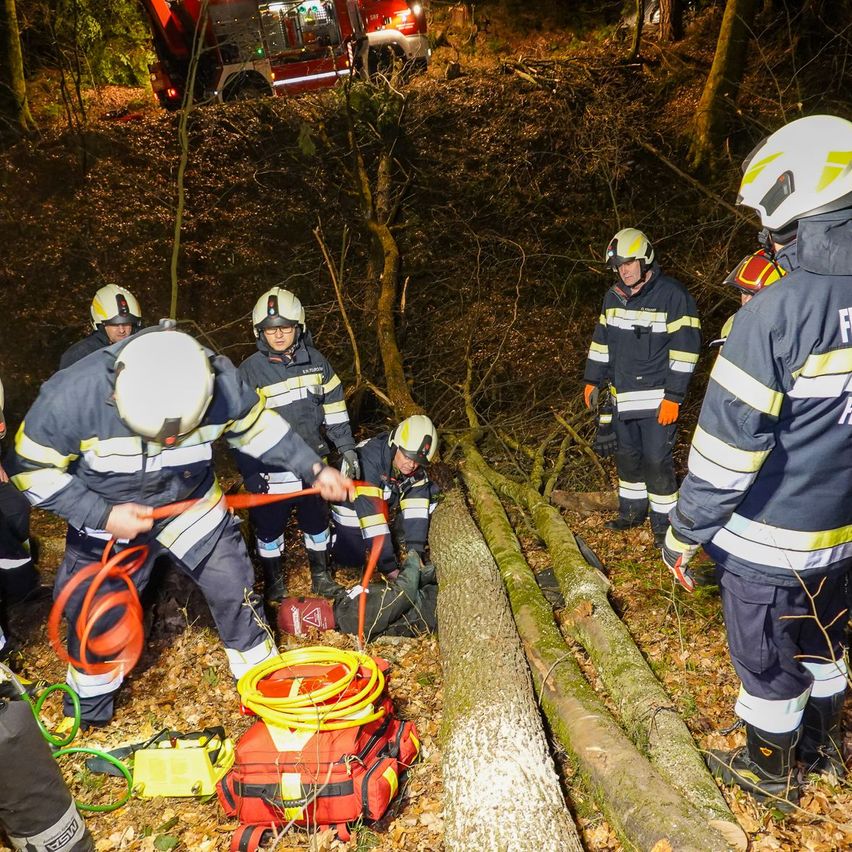 Eine Gruppe von Feuerwehrleuten in Helmen und Uniformen arbeitet in einem Wald. Sie halten ein Seil und es liegen Baumstämme auf dem Boden. Ein Feuerwehrwagen ist in der Nähe geparkt.