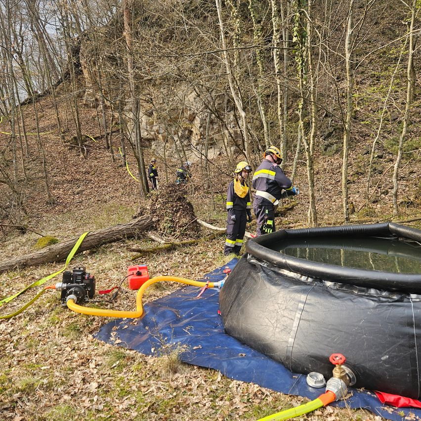 In einem bewaldeten Gebiet arbeiten mehrere Feuerwehrleute in Schutzkleidung in der Nähe eines großen aufblasbaren Wassertanks und gelber Schläuche. Ein umgestürzter Baum liegt auf dem Boden.