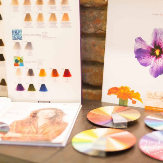 Ein Farbpalettenbuch mit Farbmustern ist geöffnet. Es gibt Farbscheiben und eine Karte mit einer lila Blume auf einem Tisch.