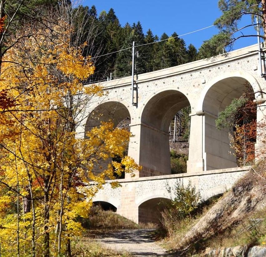 v1_migrated_image_52720030