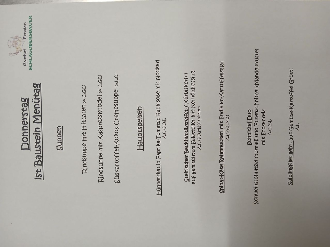 Ein weißes Blatt mit einer Liste von Begriffen und Phrasen auf Deutsch, einschließlich Wörter wie Suppen, Rindsuppe, Kokossuppe, usw.