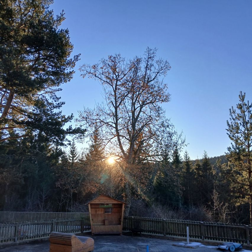 Eine ruhige Außenumgebung mit einem Holzschuppen im Vordergrund, umgeben von Bäumen und einem Zaun. Die Sonne geht im Hintergrund unter und wirft ein warmes Licht.