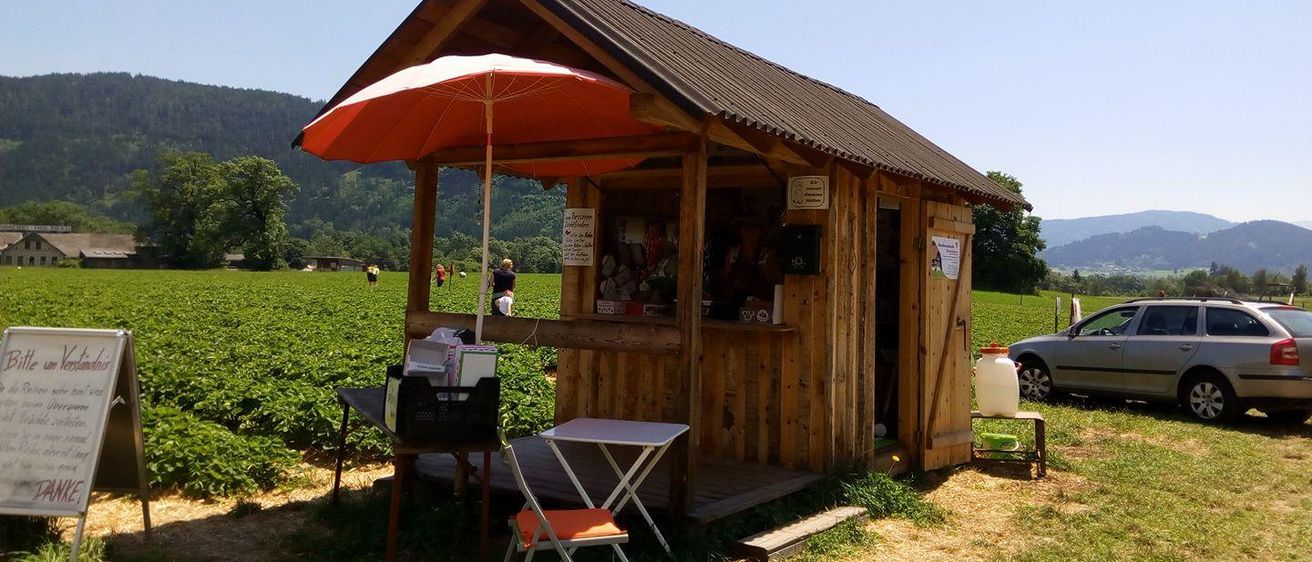 Ein kleiner Holzstand befindet sich auf einem Feld mit Tisch und Stühlen. Ein orangefarbener Regenschirm ist über dem Tisch geöffnet. In der Ferne sind Menschen und ein Auto zu sehen.