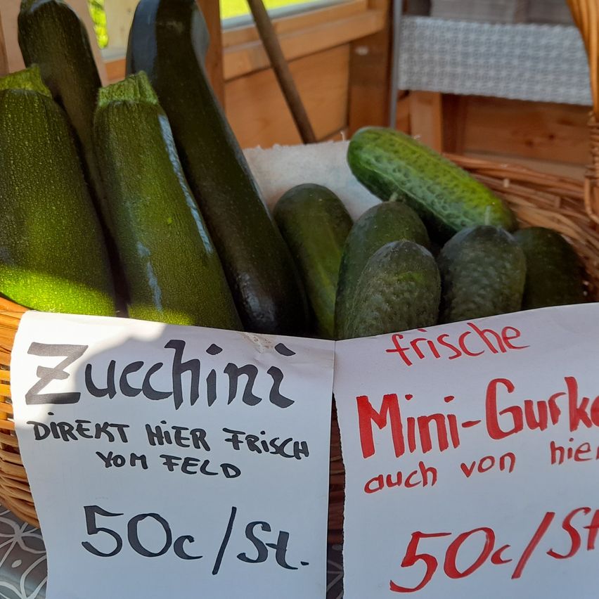 Ein Korb voller frischer Zucchinis und Mini-Gurken mit handgeschriebenen Schildern, die den Preis von 50 Cent pro Scheibe anzeigen.