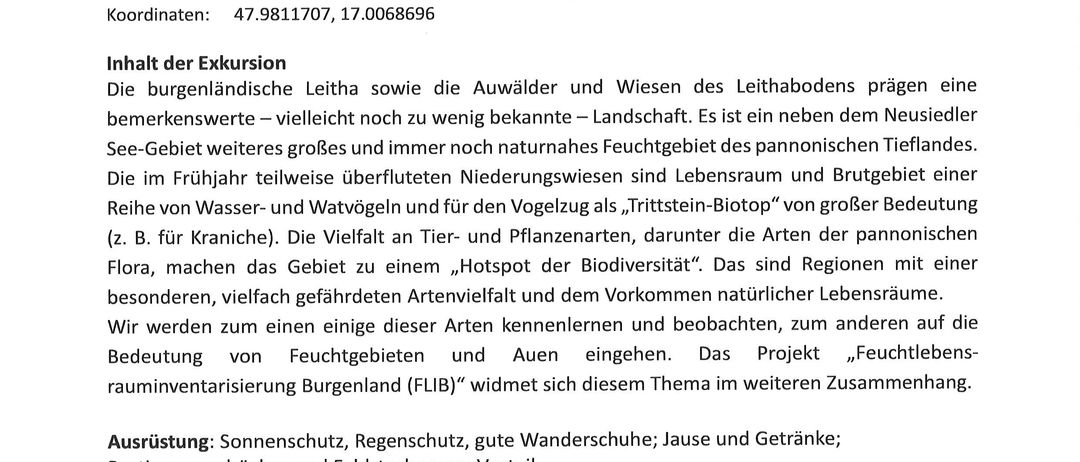 Bild enthält, Page, Text, Advertisement, Poster, Plant, Tree