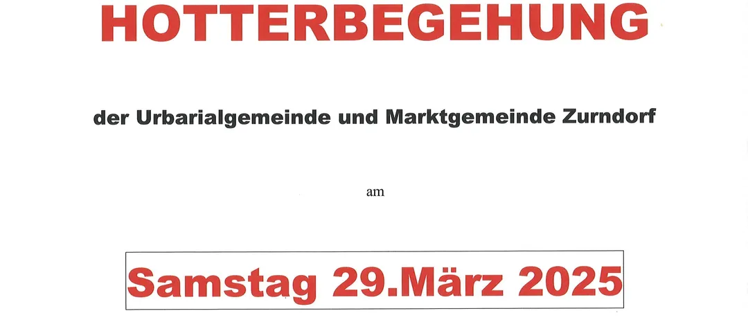 Advertisement, Poster, Page, Text