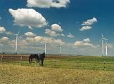 Bild enthält, Agriculture, Countryside, Field, Grassland, Nature, Outdoors, Pasture, Meadow, Grass, Grazing
