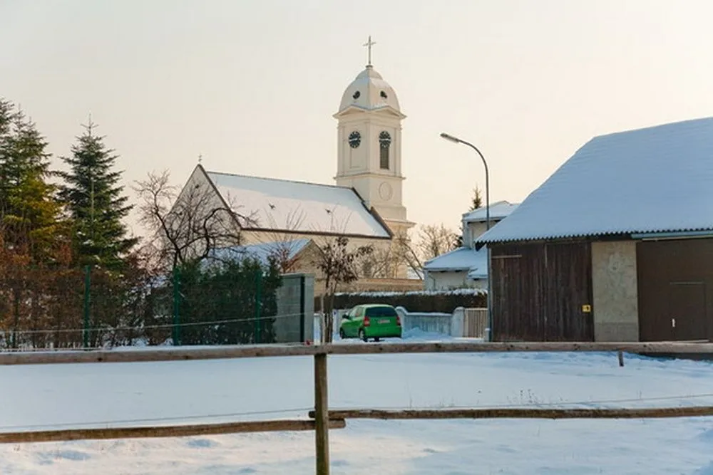 Plant, Tree, Bell Tower, Tower, Clock Tower, Car, Vehicle, Fir, Gothic Arch, Monastery