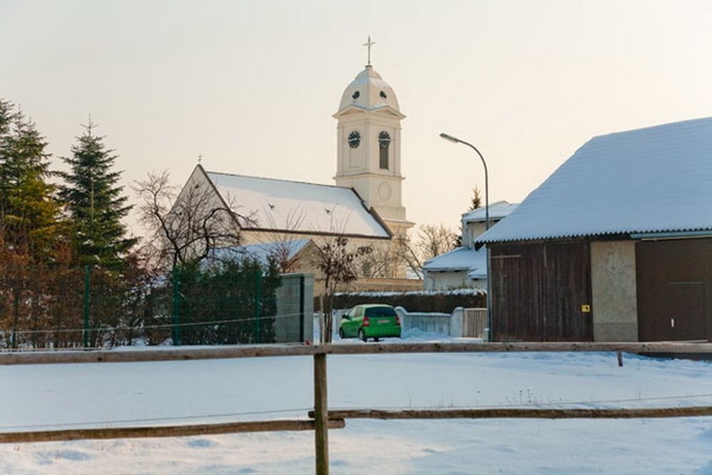 Bild enthält, Plant, Tree, Bell Tower, Tower, Clock Tower, Car, Vehicle, Fir, Gothic Arch, Monastery