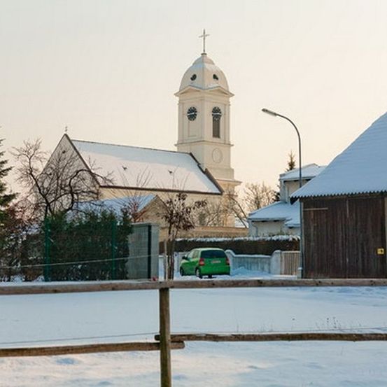 Plant, Tree, Bell Tower, Tower, Clock Tower, Car, Vehicle, Fir, Gothic Arch, Monastery