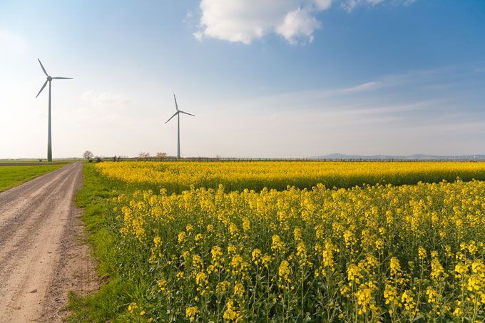Bild enthält, Horizon, Nature, Outdoors, Sky, Scenery, Windmill, Field, Grassland, Engine, Motor