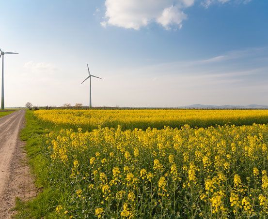 Horizon, Nature, Outdoors, Sky, Scenery, Windmill, Field, Grassland, Engine, Motor