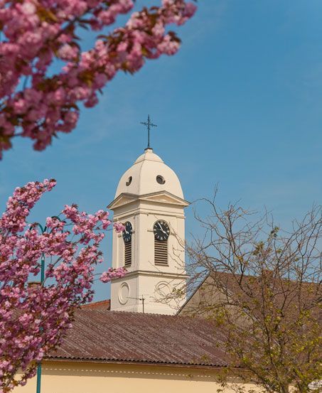 Architecture, Bell Tower, Building, Tower, Clock Tower, Arch, Gothic Arch, Flower, Plant