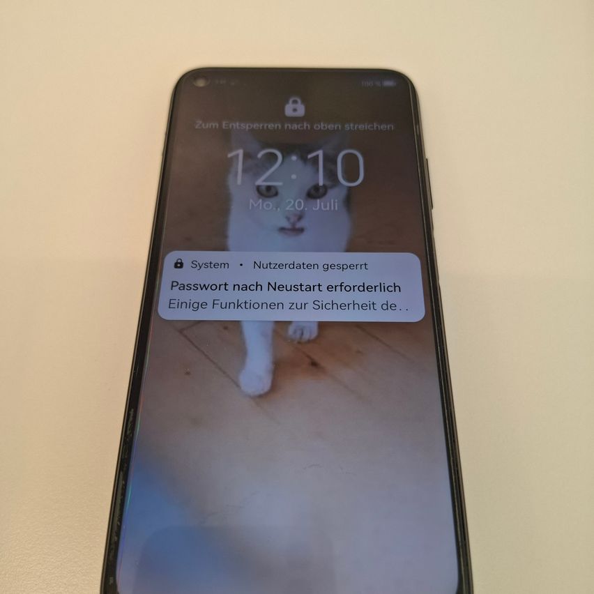 Ein Smartphone-Bildschirm zeigt eine Katze, die auf einem Holzboden steht, mit einer Meldung, dass nach einem Neustart ein Passwort erforderlich ist. Die Zeit und das Datum werden als 12:10 am Montag, 20. Juli angezeigt.