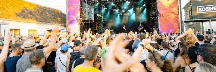 Ein lebhaftes Musikfestival mit einem tanzenden und jubelnden Publikum. Auf der Bühne spielen Musiker unter farbenfrohen Lichtern. Ein Hintergrund zeigt das Logo des Festivals.