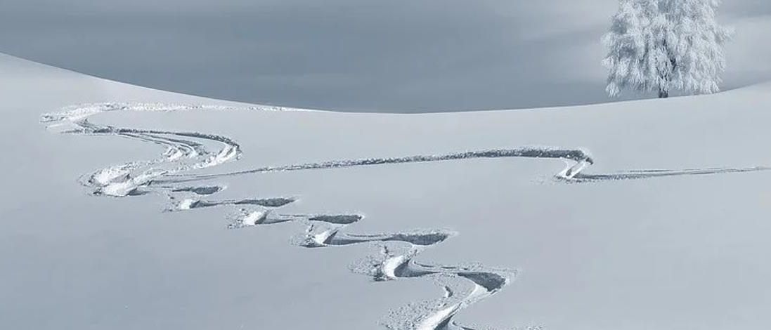 Eine verschneite Landschaft mit einem Baum rechts und einem Pfad von Reifenspuren, der durch den Schnee führt.