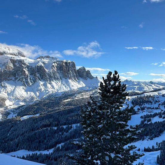 Eine verschneite Berglandschaft unter einem klaren blauen Himmel. Schneebedeckte Berge mit rauem Gelände. Mit Schnee bedeckte Bäume sind sichtbar, zusammen mit Skihängen.