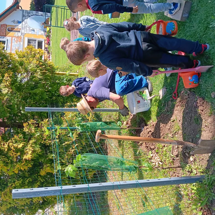 Mehrere Kinder, die gärtnern, tragen Hüte und halten Schaufeln. Einige schauen auf Pflanzen. Ein kleiner Eimer steht auf dem Boden.