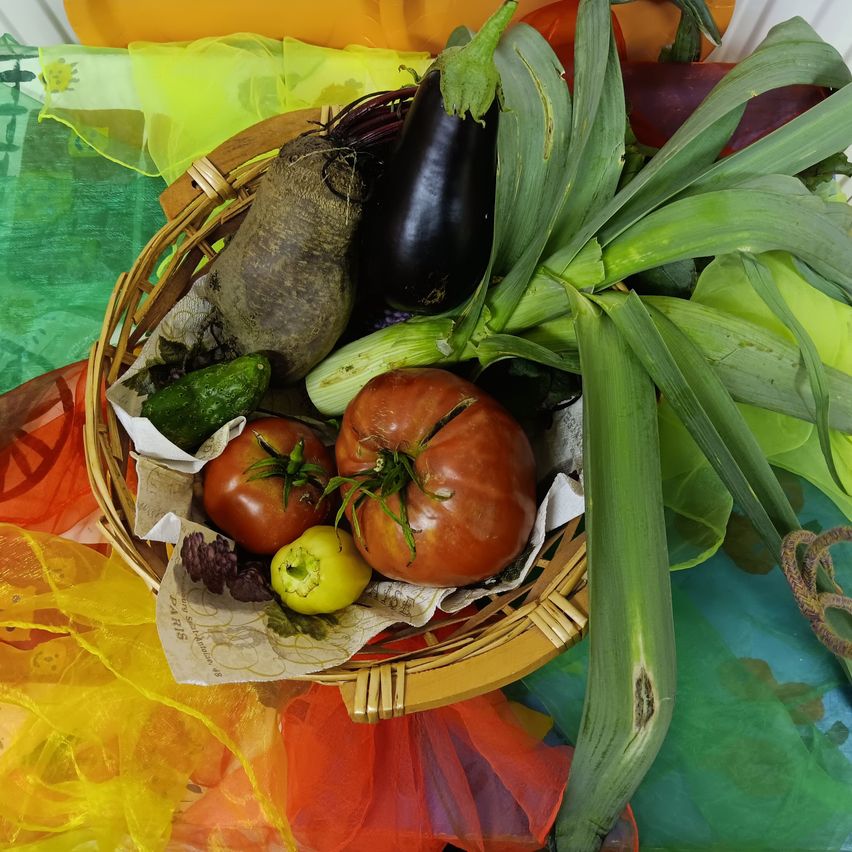 Ein Korb aus Weide mit verschiedenen Gemüsesorten wie Aubergine, Tomaten und Gurken, vor einem farbenfrohen Hintergrund.