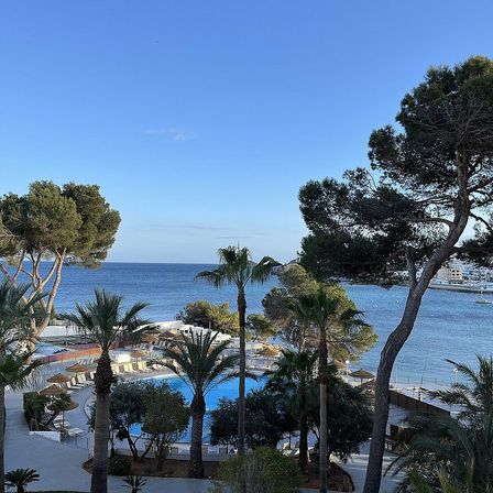 Bild enthält, Summer, Nature, Outdoors, Scenery, Sky, Horizon, Tree, Palm Tree, Waterfront, Sea