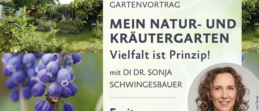 Plakat für einen Vortrag über Biodiversität und Gärtnern mit der Natur von Dr. Sonja Schwingesbauer am 24. April 2026 um 19:00 im Pfarrkultursaal Absdof. Der Eintritt ist frei.