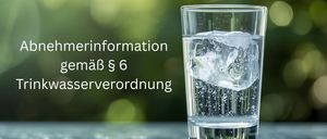 Ein Glas Wasser mit Eiswürfeln steht auf einem Tisch. Der Hintergrund ist unscharf. Der Text lautet 'Abnehmerinformation gemäß § 6 Trinkwasserverordnung'.