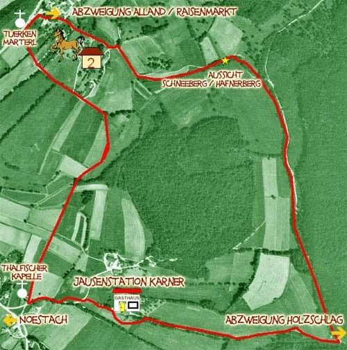 Bild enthält, Neighborhood, Field, Outdoors, Nature, Grass, Vegetation, Airport, Land, Horse, Countryside