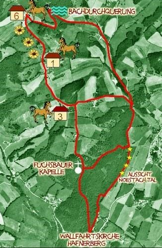 Bild enthält, Plant, Vegetation, Nature, Outdoors, Rainforest, Chart, Plot, Neighborhood, Horse, Rock