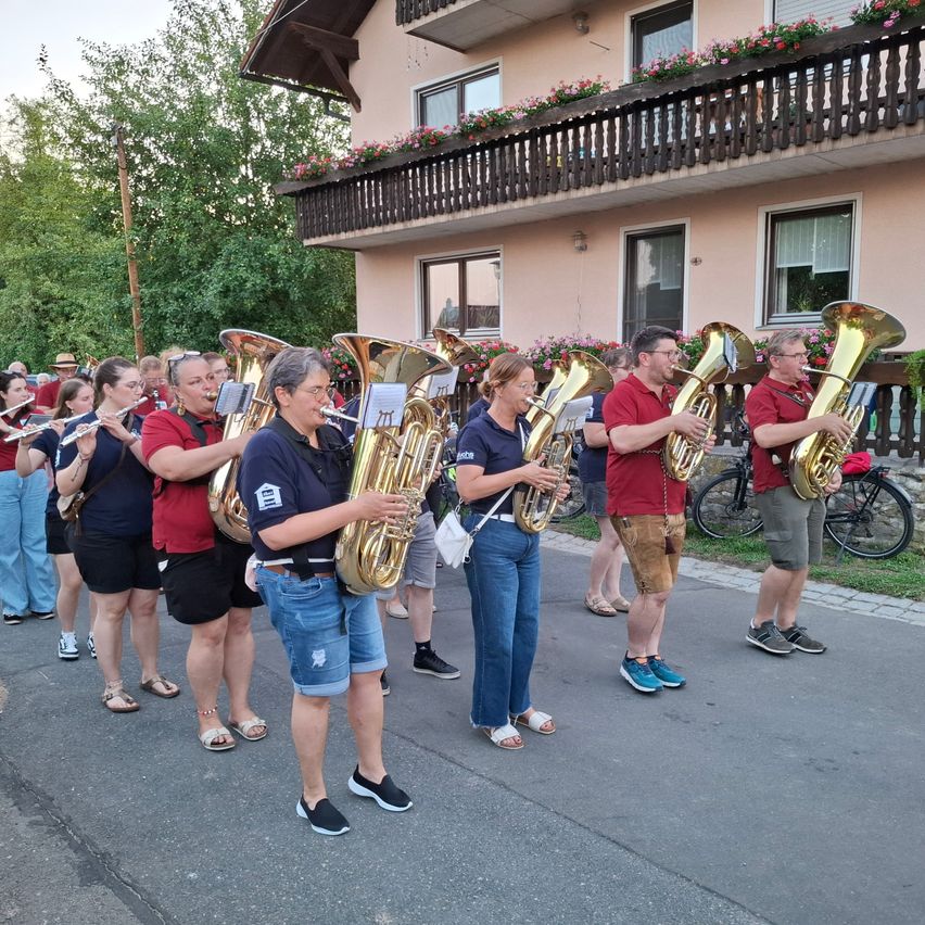 A group of musicians are playing instruments on the street in front of a house. They are wearing casual clothing. The woman in front is holding a tuba.
