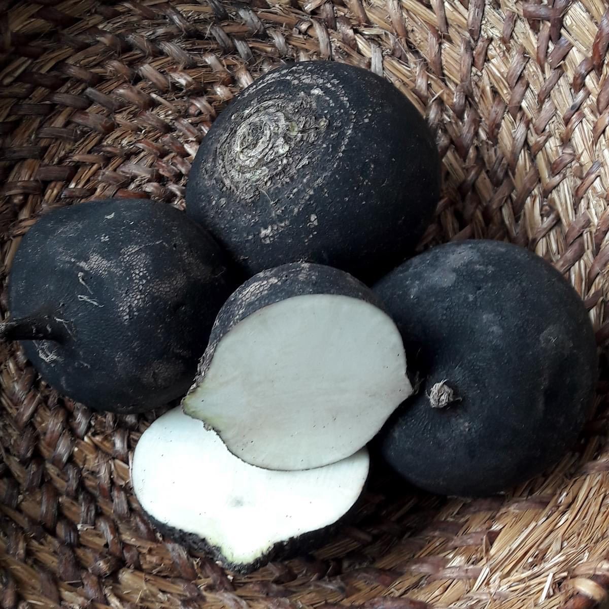 v1_migrated_image_84527566