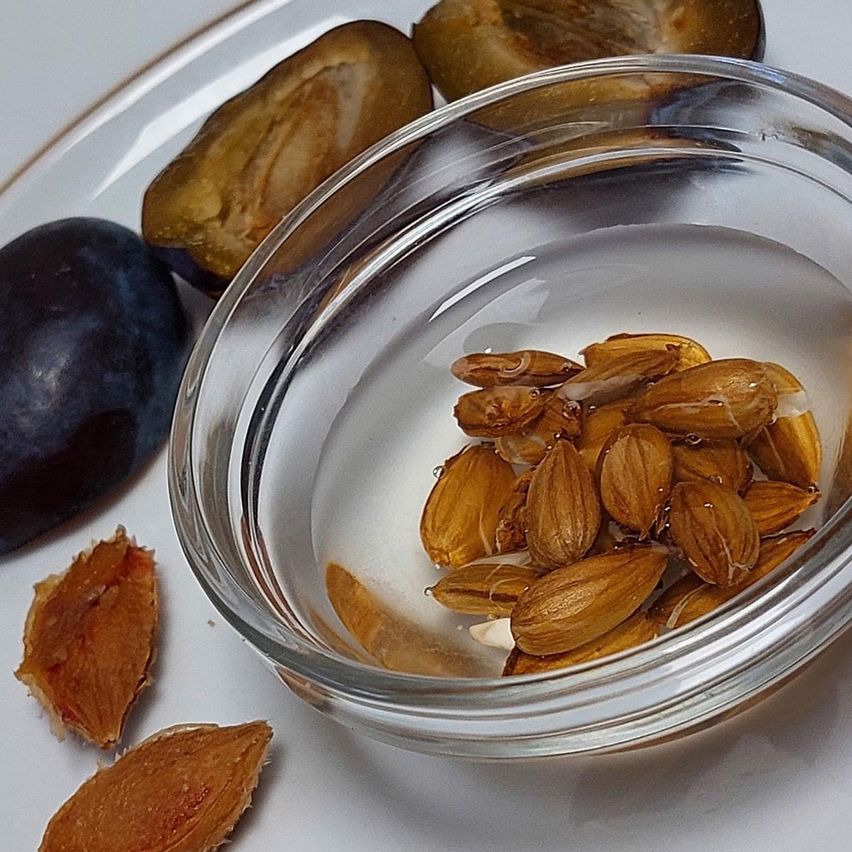 Bild enthält, Cooking, Soaking Ingredients, Plate