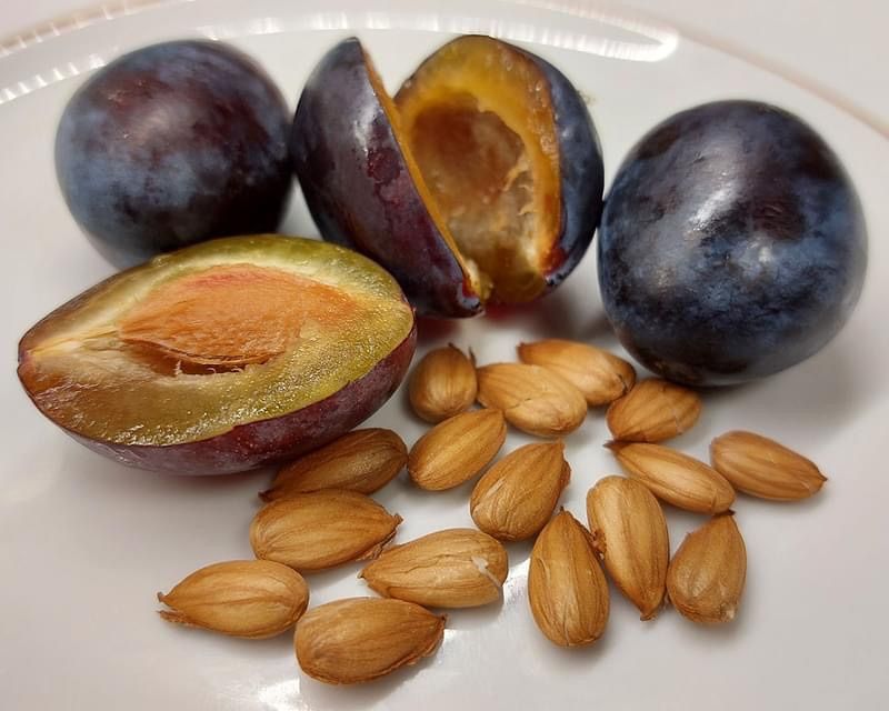 Bild enthält, Food, Fruit, Plant, Produce, Plum, Pear