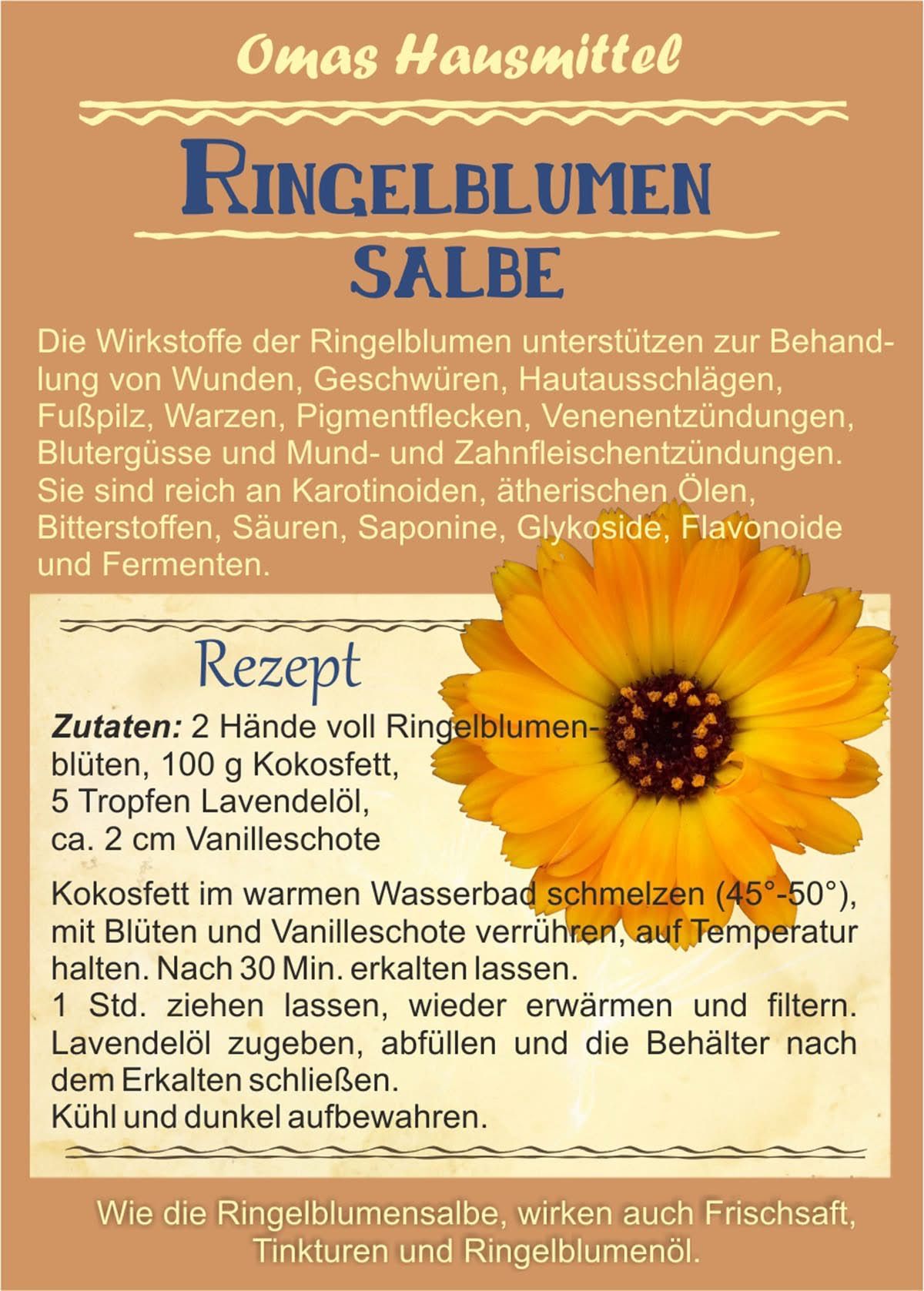 An image of a ringelblume (calendula) flower with a recipe for a salve using the flower. The recipe includes ingredients like calendula flowers, coconut oil, lavender oil, and vanilla extract. It provides instructions on how to prepare the salve.