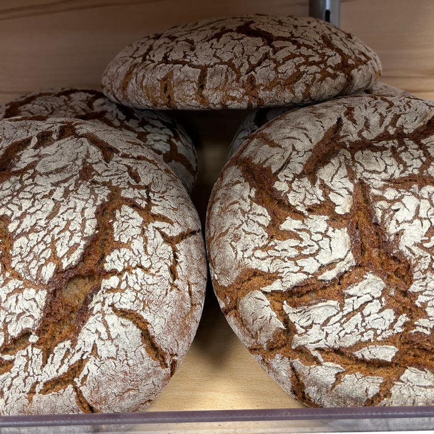 Ein Nahaufnahme von vier runden, knusprigen, braunen Brotlaiben mit komplizierten Mustern auf der Oberfläche, ausgestellt in einer hölzernen Vitrine.