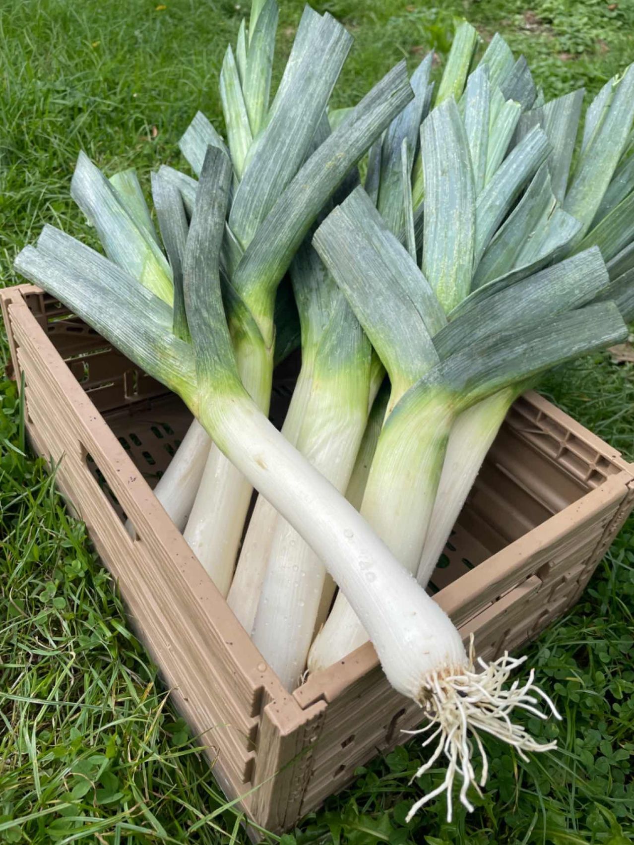 v1_migrated_image_27640576