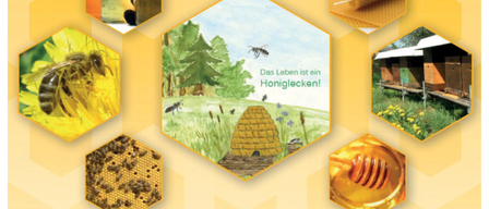 Ein Plakat für Bienenstocks in Niedernneukirchen. Zeigt eine Biene, einen Honigwaben, Bienenstöcke und Gläser mit Honig. Termine und Zeiten für Führungen, Honigschleuder und Honigverkostung.