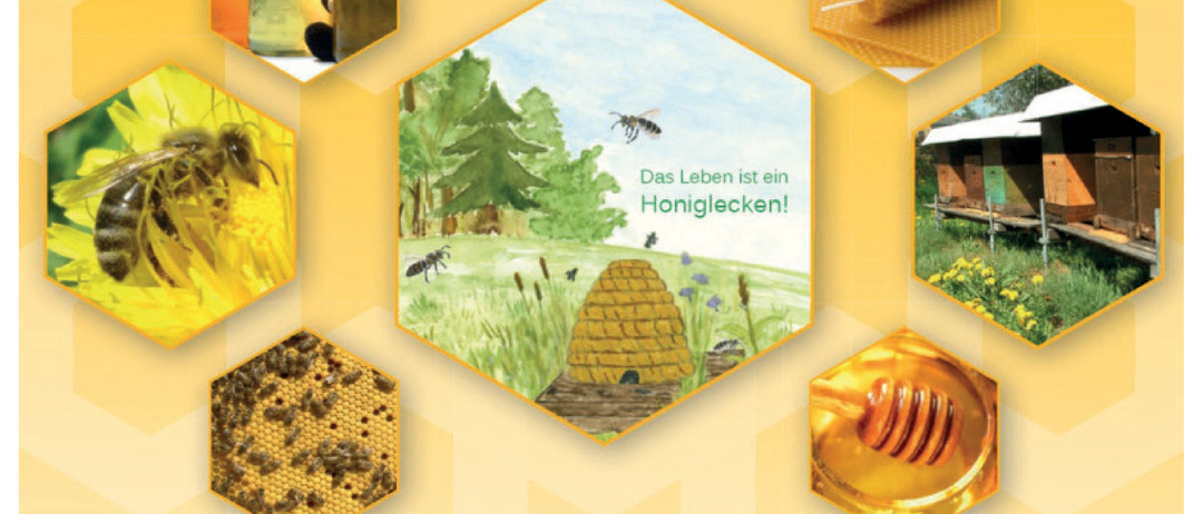 Ein Plakat für Bienenstocks in Niedernneukirchen. Zeigt eine Biene, einen Honigwaben, Bienenstöcke und Gläser mit Honig. Termine und Zeiten für Führungen, Honigschleuder und Honigverkostung.
