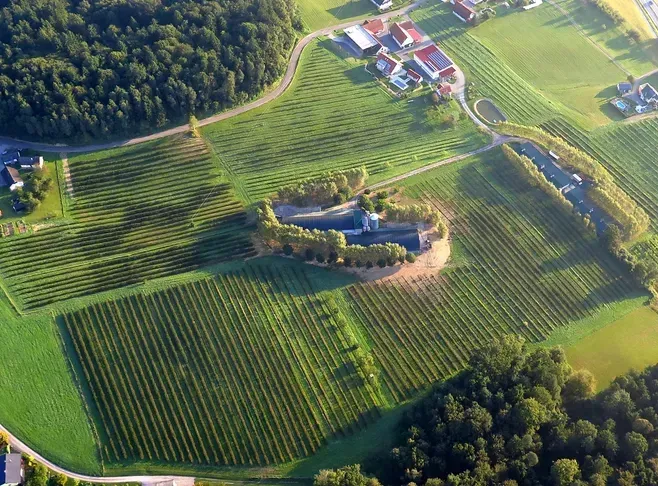 Luftaufnahme eines ländlichen Gebiets mit grünen Feldern und Häusern, einige mit Solarmodulen. Bäume und eine kurvenreiche Straße umgeben das Gebiet.