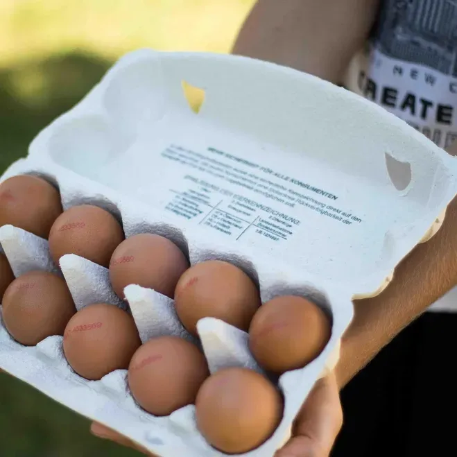 Eine Person hält ein weißes Eierkarton gefüllt mit braunen Eiern. Der Karton hat ein Etikett, das die Eier als biologisch und aus Freilandhaltung kennzeichnet.