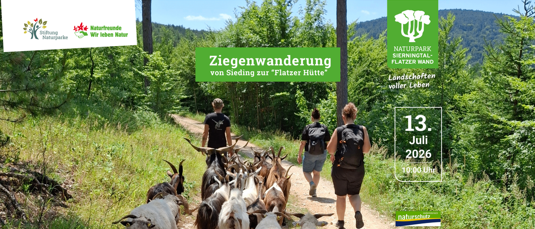 Eine Gruppe von Menschen wandert mit Ziegen auf einem Waldweg, mit einem grünen Banner, das 'Ziegenwanderung von Sieding zur Flatzer Hutte' lautet.